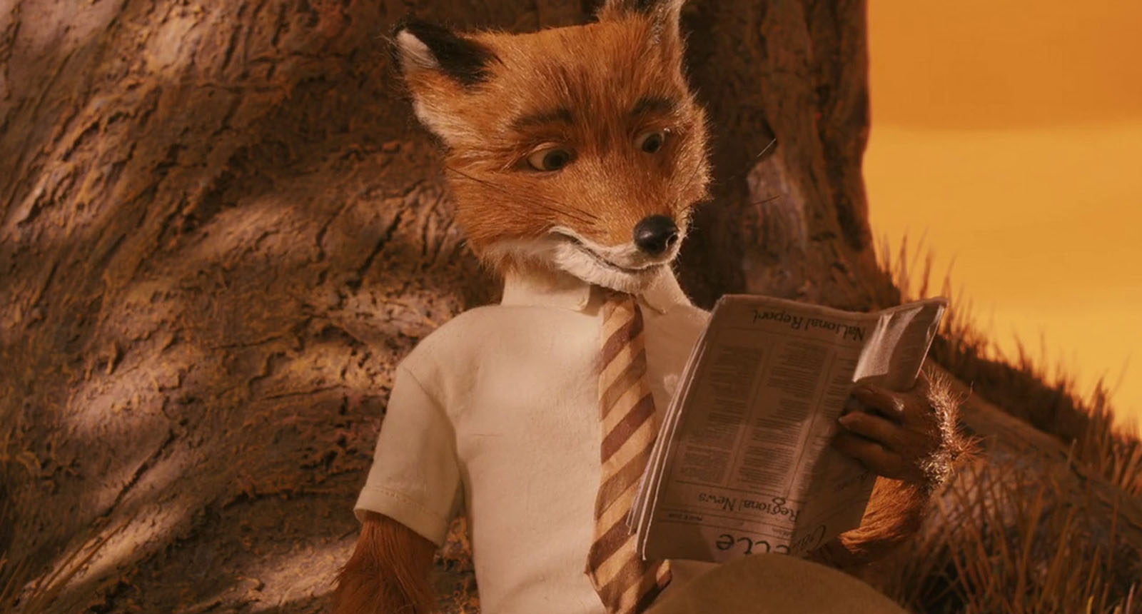 Risultati immagini per fantastic mr fox